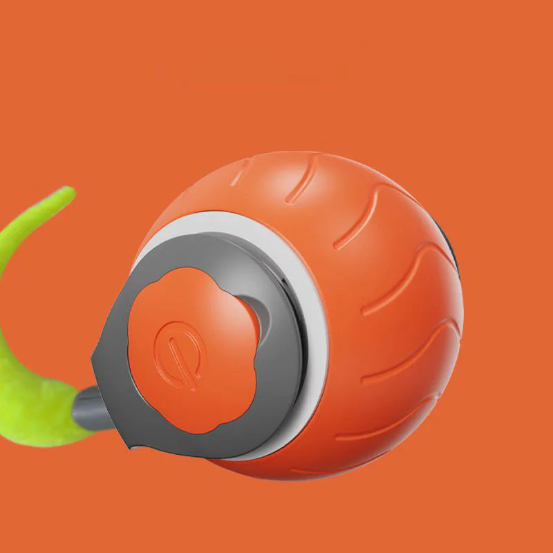 Speedy Tail Toy for Cats and Dogs