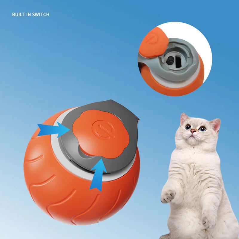 Speedy Tail Toy for Cats and Dogs