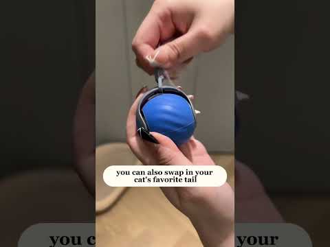 Speedy Tail Toy for Cats and Dogs